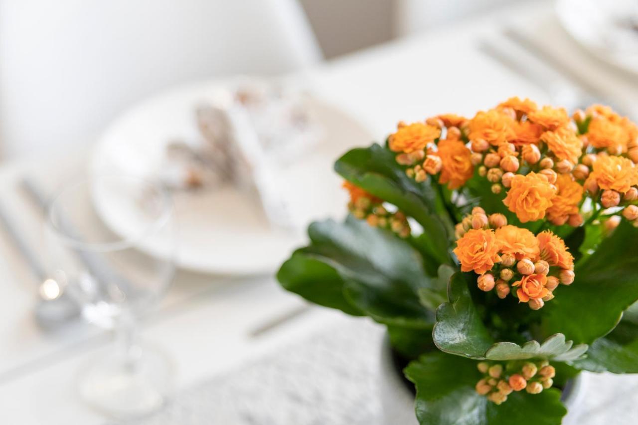Vasko Luxurious Suites, Kelo * Rovaniemi